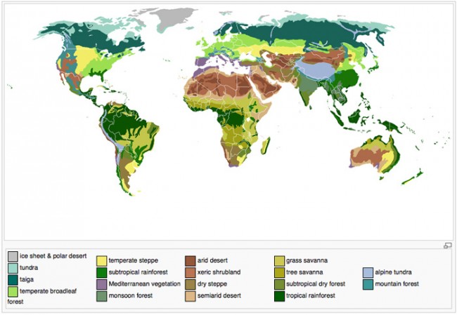 Get To Know Your Biomes – Ape Con Myth