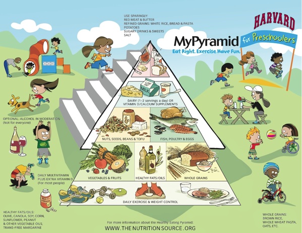 healthy eating pyramid for kids